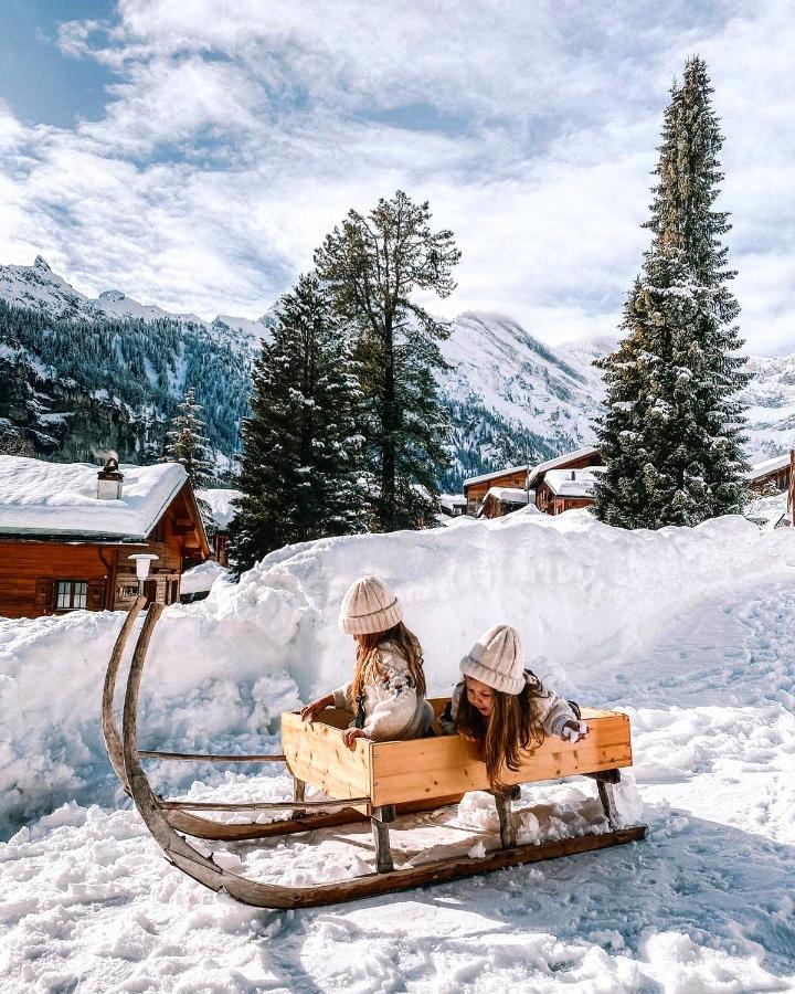 Mountain Hostel Gimmelwald Wengen Ngoại thất bức ảnh