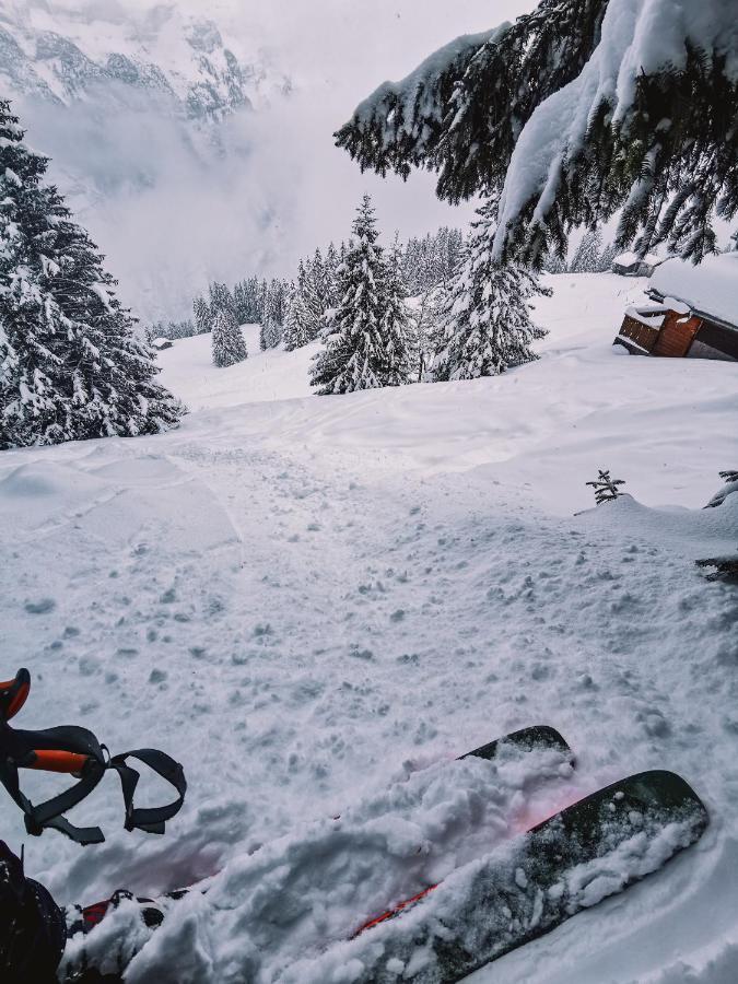 Mountain Hostel Gimmelwald Wengen Ngoại thất bức ảnh